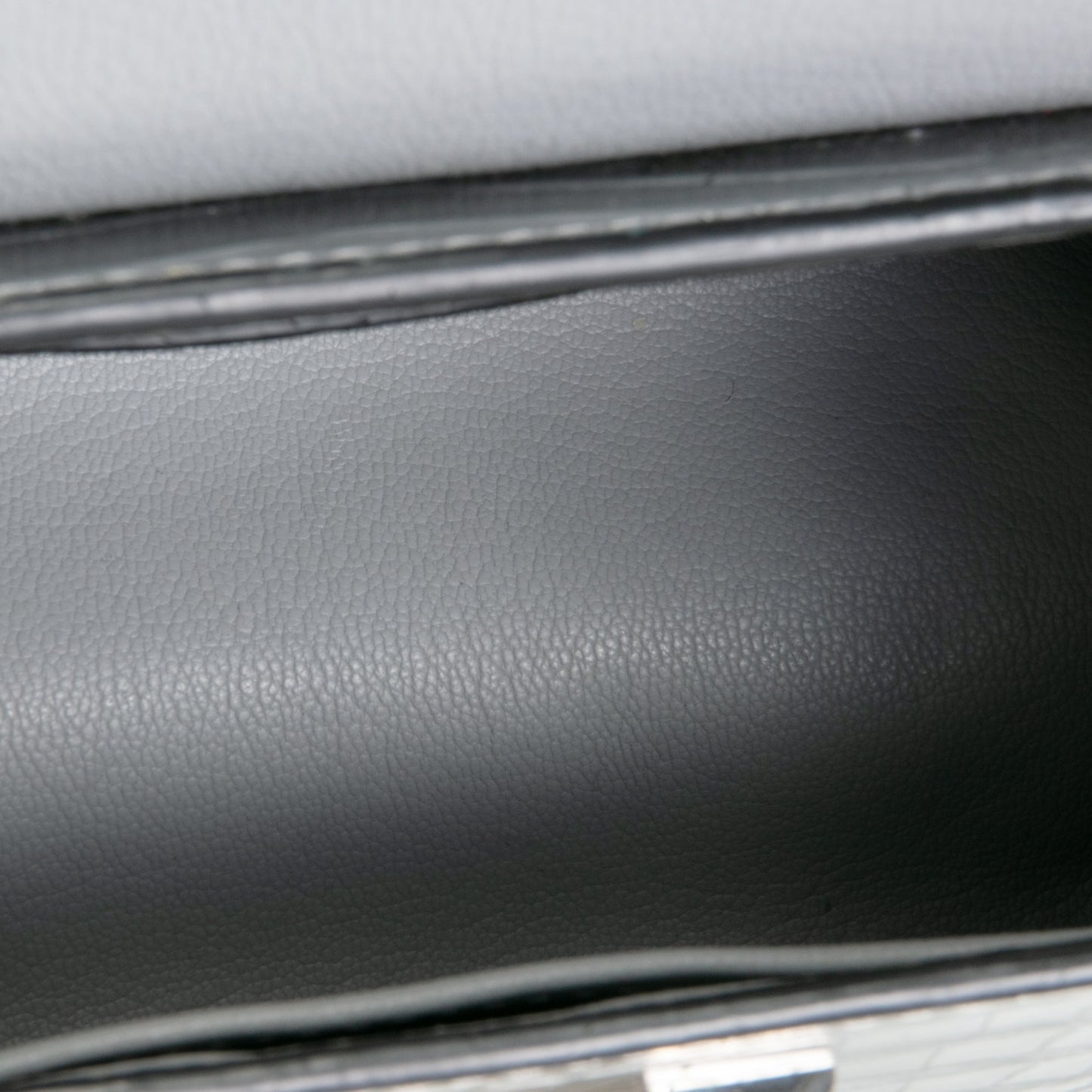 LOUIS VUITTON Crocodile Twist PM - Zilver