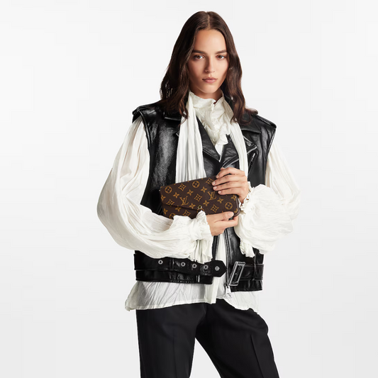 Louis Vuitton Félicie Pochette Bruin