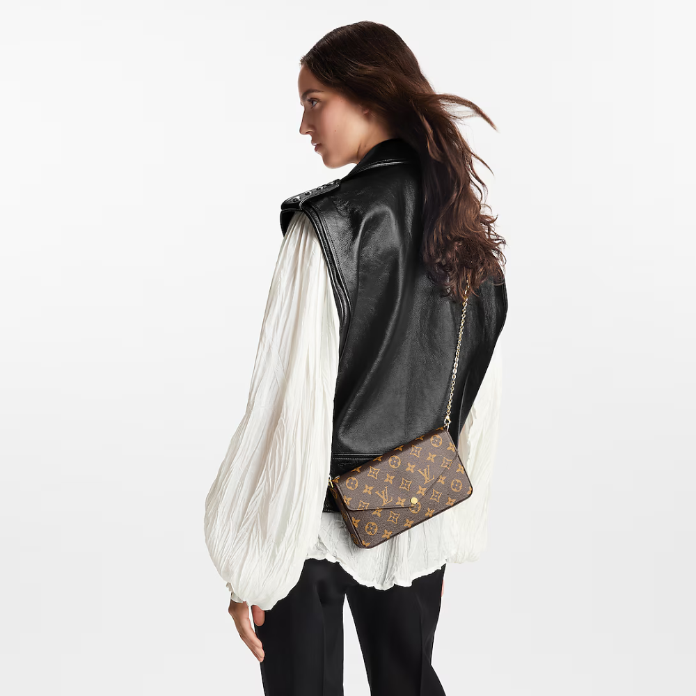 Louis Vuitton Félicie Pochette Bruin