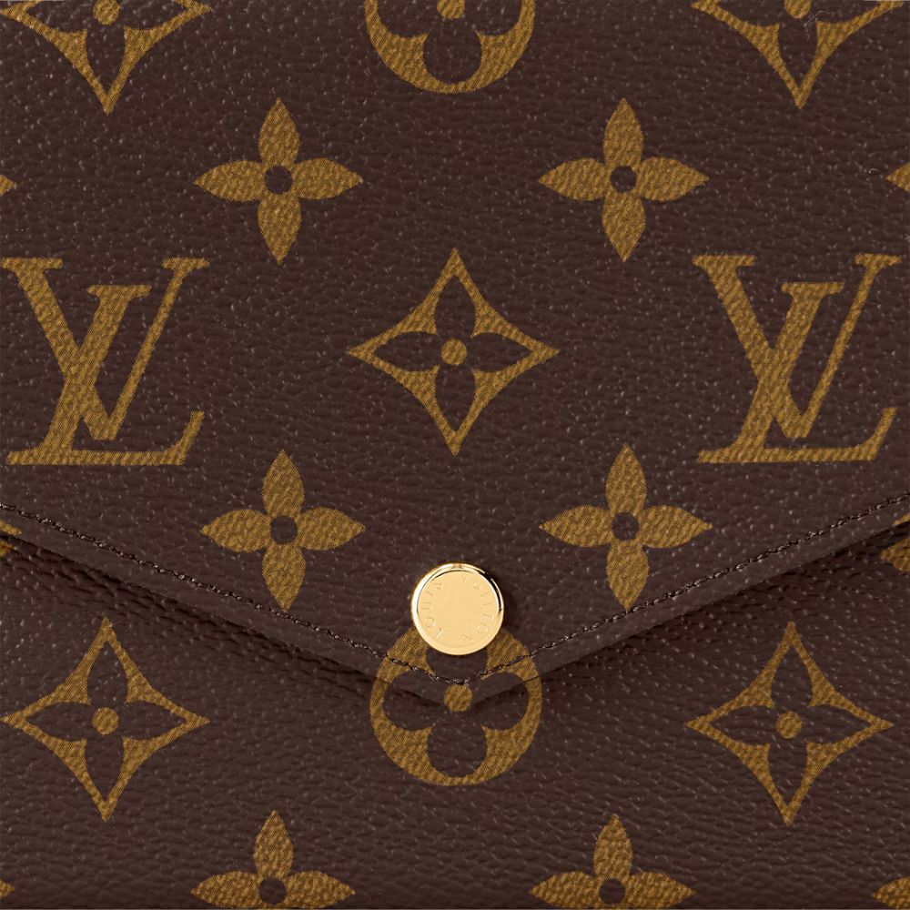 Louis Vuitton Félicie Pochette Bruin